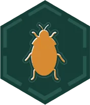 Pragas // Controle de Pragas em São Paulo . Dedetizadora em SP