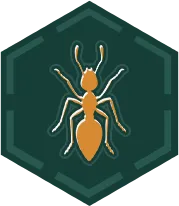 Dedetização de Formigas - São Paulo // Dedetizadora em SP