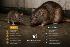 Rato-e-Ratazana