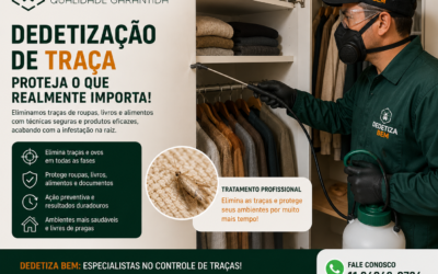 Saiba Tudo Sobre as Traças