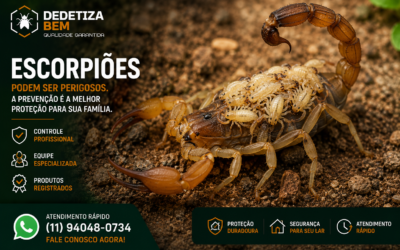 Dedetização Escorpião