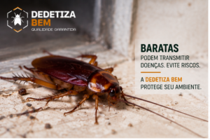 dedetizadora