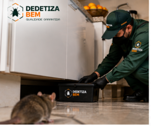 desratização-em-casa