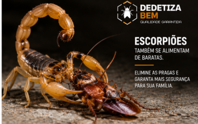 Dedetizadora Profissional